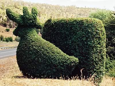 Topiary Trail