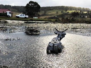 Cows in the Lake Sculptures