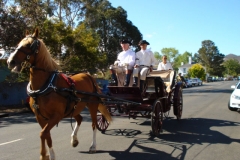 horse_drawn_carriage_landau