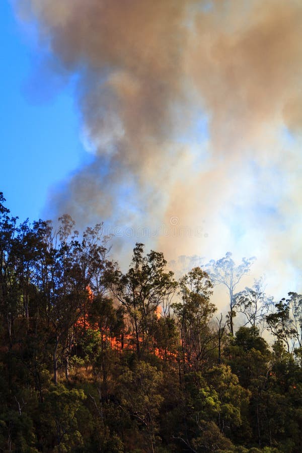 Image of Bushfire Smoke