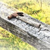 Hammer blending on a wooden fence frame on a property at Runnymede. Photo: Joe, aged 15.