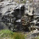 Waterfall pond at the Tasmanian Bushland Gardens at Buckland, Tasmania. Photo: Joe, aged 15.