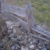 Drystone Wall